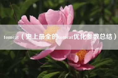 tomcat（史上最全的tomcat优化参数总结）