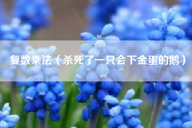 复数乘法（杀死了一只会下金蛋的鹅）