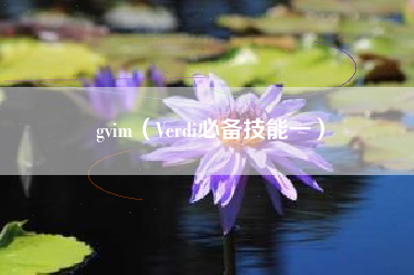 gvim（Verdi必备技能一）