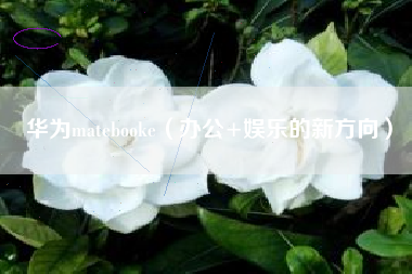 华为matebooke（办公+娱乐的新方向）