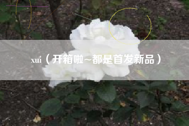 xui（开箱啦~都是首发新品）