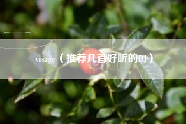 visage（推荐几首好听的DJ）