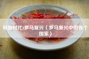 帝国时代1罗马复兴（罗马复兴中的各个国家）