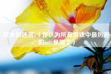 欧米伽迷宫z（你认为所有游戏中最厉害的boss是哪个）