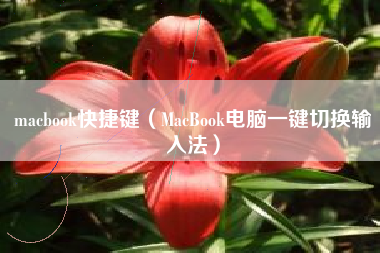 macbook快捷键（MacBook电脑一键切换输入法）