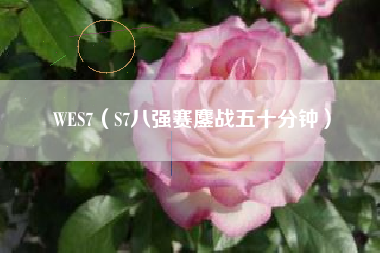 WES7（S7八强赛鏖战五十分钟）