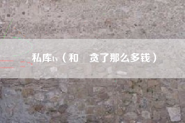 私库tv（和珅贪了那么多钱）
