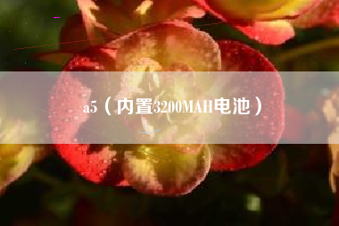 a5（内置3200MAH电池）