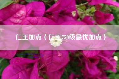 仁王加点（仁王750级最优加点）