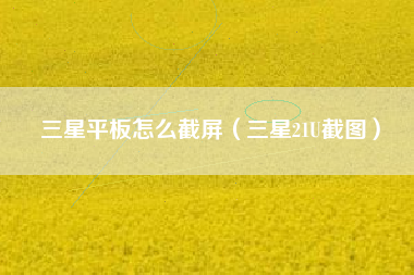 三星平板怎么截屏（三星21U截图）