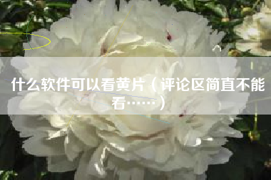 什么软件可以看黄片（评论区简直不能看……）