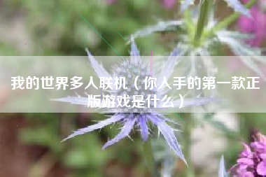 我的世界多人联机（你入手的第一款正版游戏是什么）