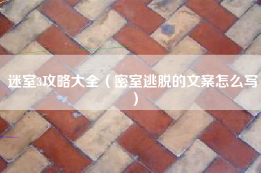 迷室3攻略大全（密室逃脱的文案怎么写）