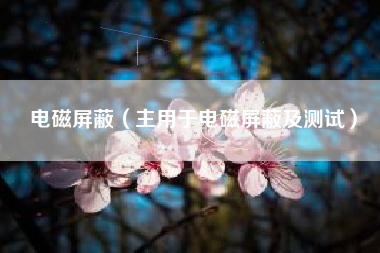 电磁屏蔽（主用于电磁屏蔽及测试）