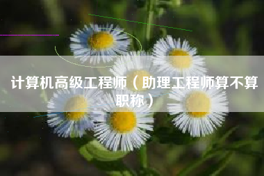 计算机高级工程师（助理工程师算不算职称）