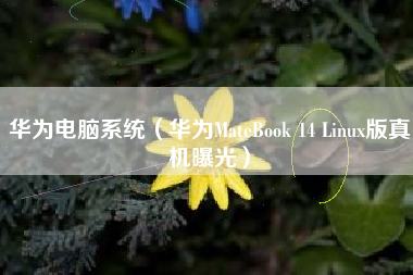 华为电脑系统（华为MateBook 14 Linux版真机曝光）