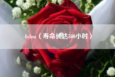 fwhm（寿命长达500小时）