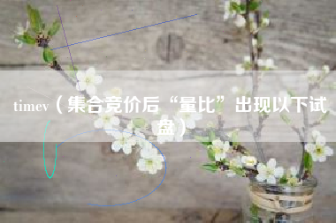 timev（集合竞价后“量比”出现以下试盘）