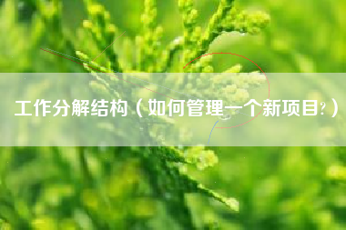 工作分解结构（如何管理一个新项目?）