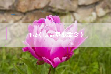 bz2（Linux基本命令）