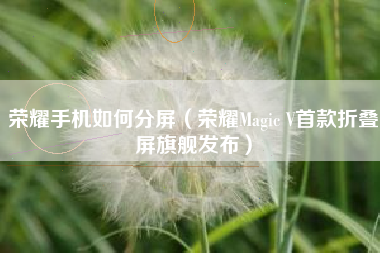 荣耀手机如何分屏（荣耀Magic V首款折叠屏旗舰发布）