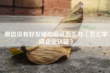 微信没有好友辅助验证怎么办（怎么申请企业认证）