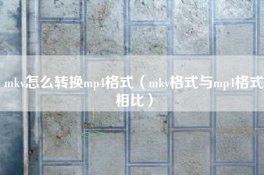 mkv怎么转换mp4格式（mkv格式与mp4格式相比）