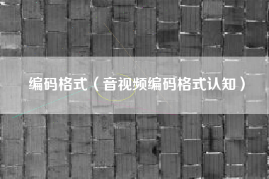 编码格式（音视频编码格式认知）