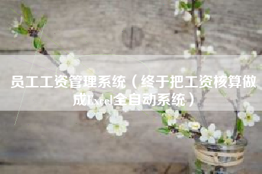 员工工资管理系统（终于把工资核算做成Excel全自动系统）