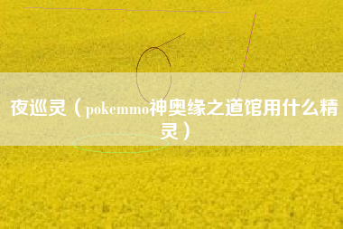 夜巡灵（pokemmo神奥缘之道馆用什么精灵）