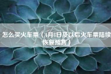 怎么买火车票（4月8日及以后火车票陆续恢复预售）