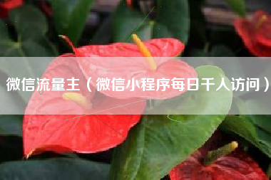 微信流量主（微信小程序每日千人访问）