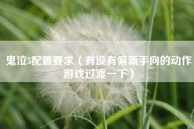 鬼泣5配置要求（有没有偏新手向的动作游戏过渡一下）