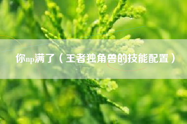 你np满了（王者独角兽的技能配置）