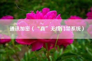 通讯加密（“真”无线门禁系统）