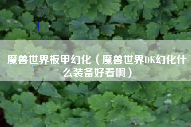 魔兽世界板甲幻化（魔兽世界DK幻化什么装备好看啊）
