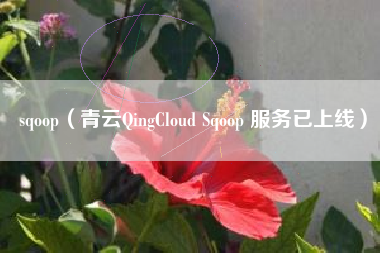 sqoop（青云QingCloud Sqoop 服务已上线）