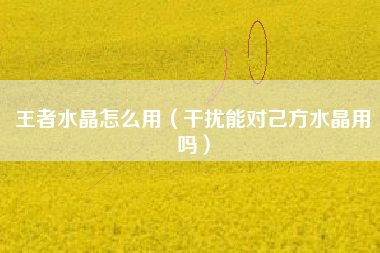 王者水晶怎么用（干扰能对己方水晶用吗）