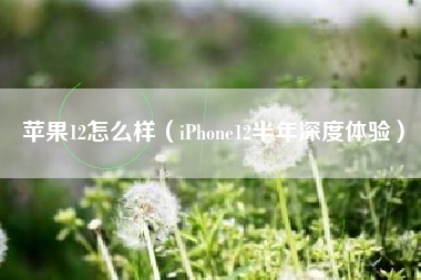 苹果12怎么样（iPhone12半年深度体验）