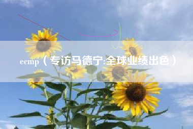 ecmp（专访马德宁:全球业绩出色）