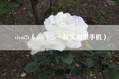 vivos7t（vivo Y72t一款实用型手机）