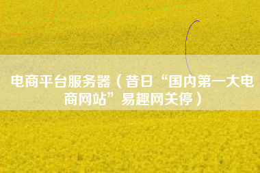 电商平台服务器（昔日“国内第一大电商网站”易趣网关停）