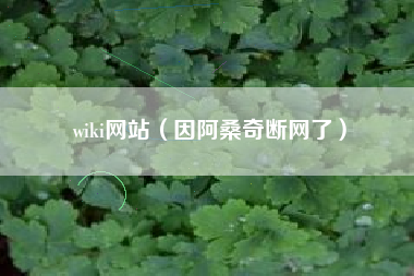 wiki网站（因阿桑奇断网了）