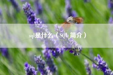 sql是什么（SQL 简介）