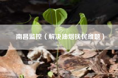 南昌监控（解决油烟扰民难题）