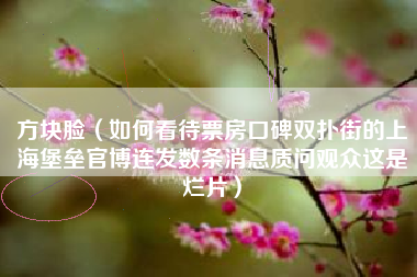方块脸（如何看待票房口碑双扑街的上海堡垒官博连发数条消息质问观众这是烂片）