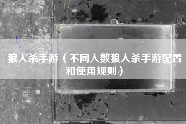 狼人杀手游（不同人数狼人杀手游配置和使用规则）
