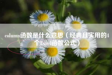 column函数是什么意思（经典且实用的4个Excel函数公式）