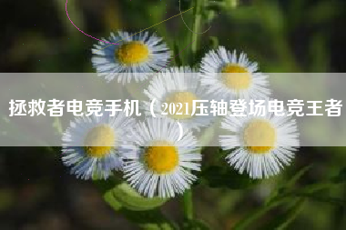 拯救者电竞手机（2021压轴登场电竞王者）
