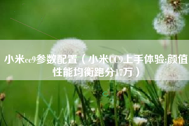 小米cc9参数配置（小米CC9上手体验:颜值性能均衡跑分17万）